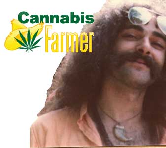 Cannabis farming